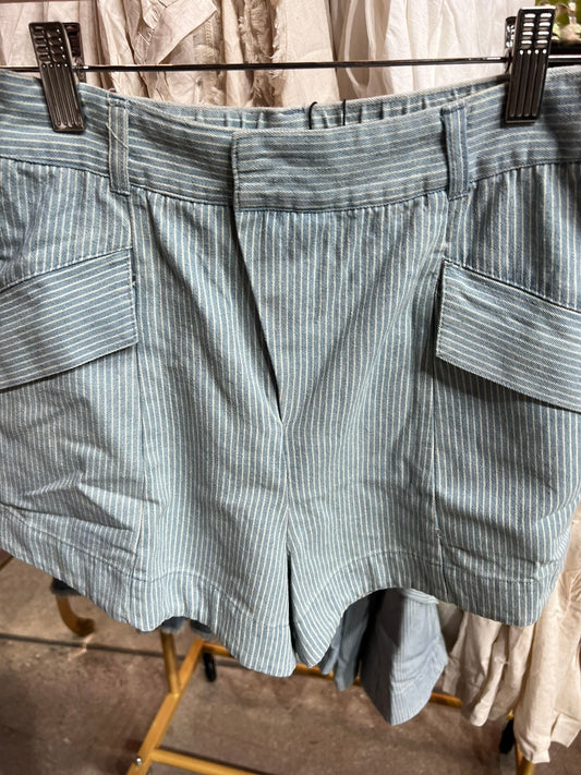 Blue Striped Shorts